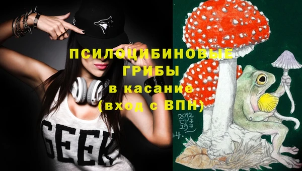 ECSTASY Инта