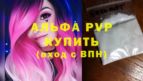 ECSTASY Инта