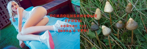 ECSTASY Инта
