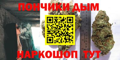сатива Лесосибирск