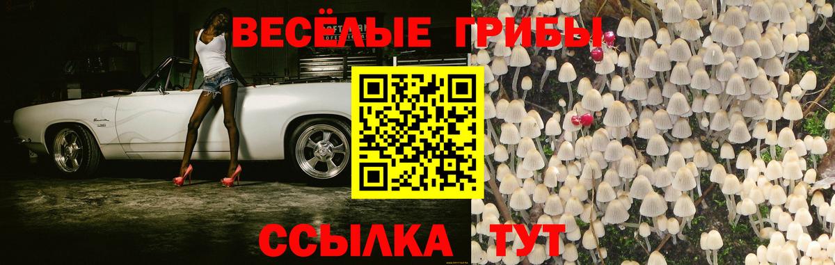 Псилоцибиновые грибы Psilocybe  Вход с VPN  Соль-Илецк  как найти закладки  Псилоцибиновые грибы мухоморы 