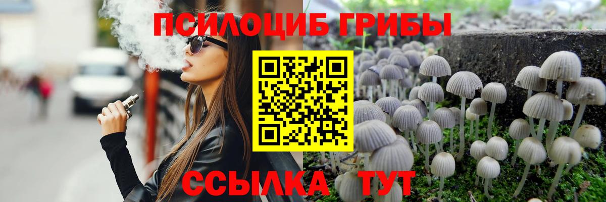 Галлюциногенные грибы MAGIC MUSHROOMS Соль-Илецк